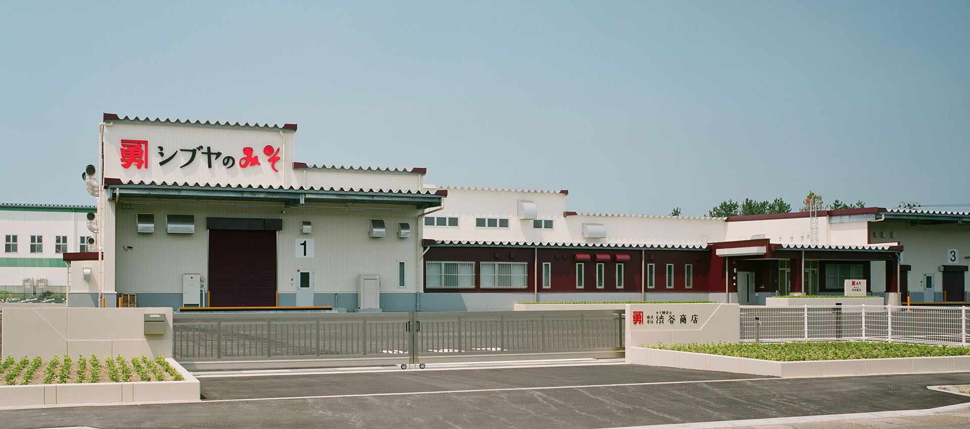 新潟名産シブヤみそ【渋谷商店】-越後味噌醸造元-